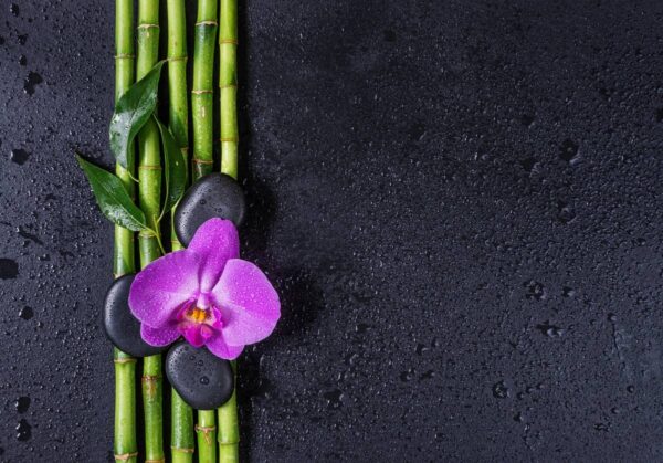 Esencia de Flores Tropicales - Edición Limitada